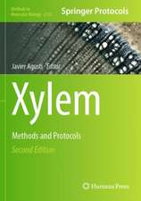 Xylem
