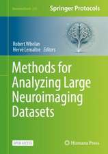 Methods for Analyzing Large Neuroimaging Datasets