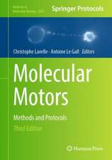 Molecular Motors