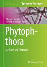 Phytophthora