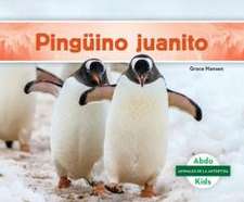 Pinguino Juanito (Gentoo Penguin)