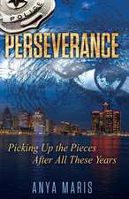 Perseverance: Picking Up the Pieces After All These Years