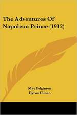 The Adventures Of Napoleon Prince (1912)