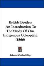 British Beetles