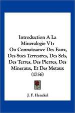 Introduction A La Mineralogie V1