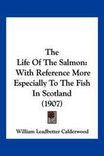 The Life Of The Salmon