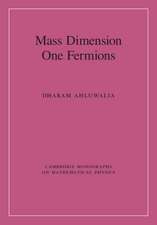 Mass Dimension One Fermions