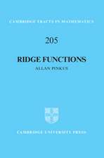 Ridge Functions