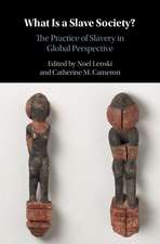 What Is a Slave Society?: The Practice of Slavery in Global Perspective