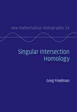 Singular Intersection Homology