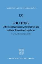 Solitons: Differential Equations, Symmetries and Infinite Dimensional Algebras