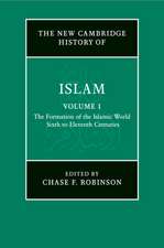 The New Cambridge History of Islam: Volume 1, The Formation of the Islamic World, Sixth to Eleventh Centuries