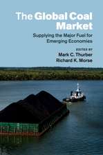 The Global Coal Market: Supplying the Major Fuel for Emerging Economies