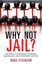 Why Not Jail?: Industrial Catastrophes, Corporate Malfeasance, and Government Inaction