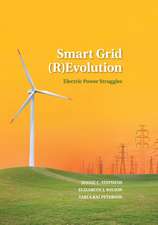 Smart Grid (R)Evolution: Electric Power Struggles