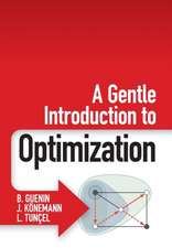 A Gentle Introduction to Optimization