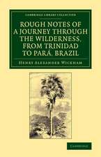 Rough Notes of a Journey through the Wilderness, from Trinidad to Pará, Brazil: By Way of the Great Cataracts of the Orinoco, Atabapo, and Rio Negro