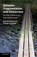 Between Fragmentation and Democracy: The Role of National and International Courts