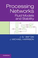 Dai, J: Processing Networks
