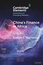 China's Finance in Africa: What and How Much?