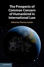 The Prospects of Common Concern of Humankind in International Law