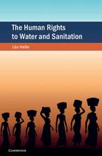 The Human Rights to Water and Sanitation