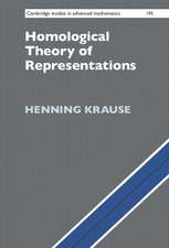 Homological Theory of Representations