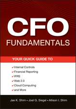 CFO Fundamentals – Your Quick Guide to Internal Controls, Financial Reporting, IFRS, Web 2.0, Cloud Computing, and More