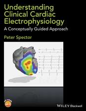 Understanding Clinical Cardiac Electrophysiology – A Conceptually Guided Approach