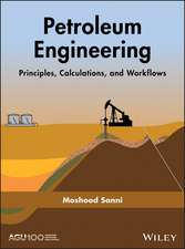 Petroleum Engineering – Principles, Calculations and Workflows