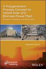 Polygeneration Process Plant