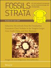 Fossils and Strata 65 – Ediacaran microfossils from the Doushantuo Formation chert nodules in the Yangtze Gorges area, South China, and new biozones