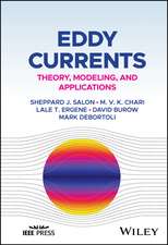 Eddy Currents: Theory, Modeling, and Applications