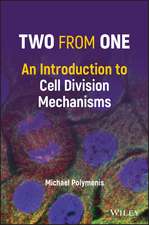 Two from One – A Short Introduction to Cell Division Mechanisms