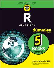 R All–in–One For Dummies