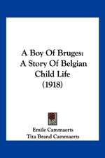 A Boy Of Bruges