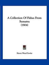 A Collection Of Fishes From Sumatra (1904)