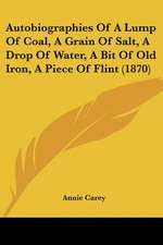 Autobiographies Of A Lump Of Coal, A Grain Of Salt, A Drop Of Water, A Bit Of Old Iron, A Piece Of Flint (1870)