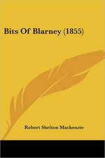 Bits Of Blarney (1855)