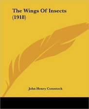 The Wings Of Insects (1918)