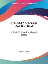 Beetles Of New England And Their Kind