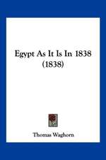 Egypt As It Is In 1838 (1838)