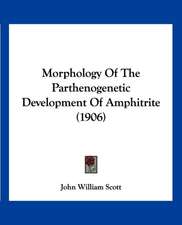 Morphology Of The Parthenogenetic Development Of Amphitrite (1906)