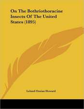 On The Bothriothoracine Insects Of The United States (1895)