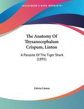 The Anatomy Of Thysanocephalum Crispum, Linton