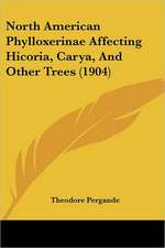 North American Phylloxerinae Affecting Hicoria, Carya, And Other Trees (1904)