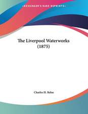 The Liverpool Waterworks (1875)