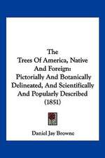 The Trees Of America, Native And Foreign