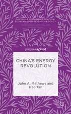 China’s Renewable Energy Revolution