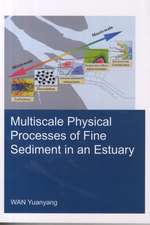 Multiscale Physical Processes of Fine Sediment in an Estuary